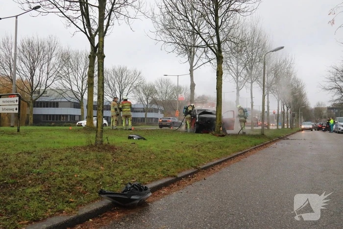 Auto botst op boom en vliegt in brand