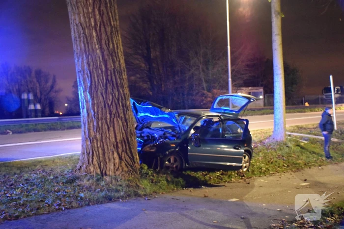 Inzittende auto gewond na botsing met boom
