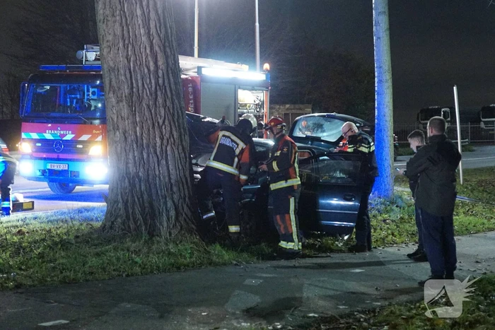Inzittende auto gewond na botsing met boom