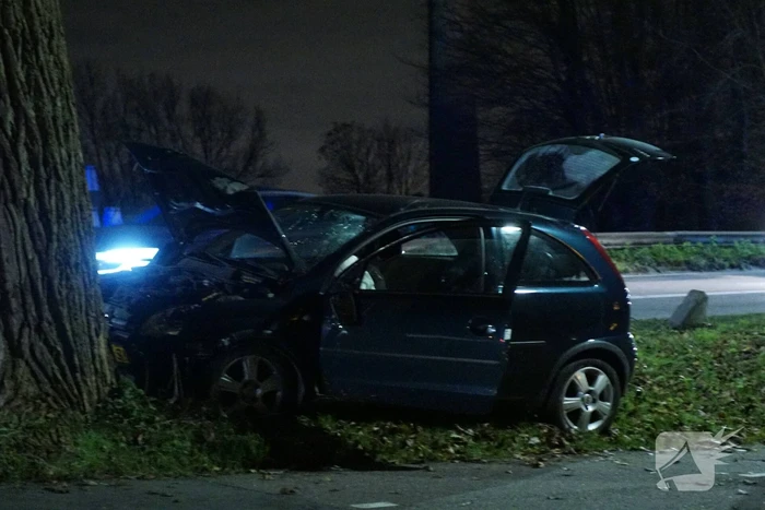 Inzittende auto gewond na botsing met boom