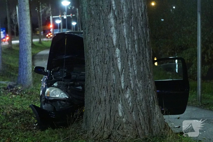 Inzittende auto gewond na botsing met boom