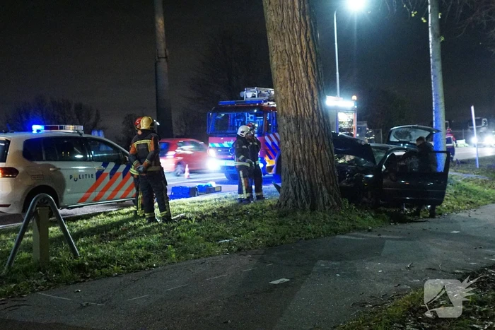 Inzittende auto gewond na botsing met boom