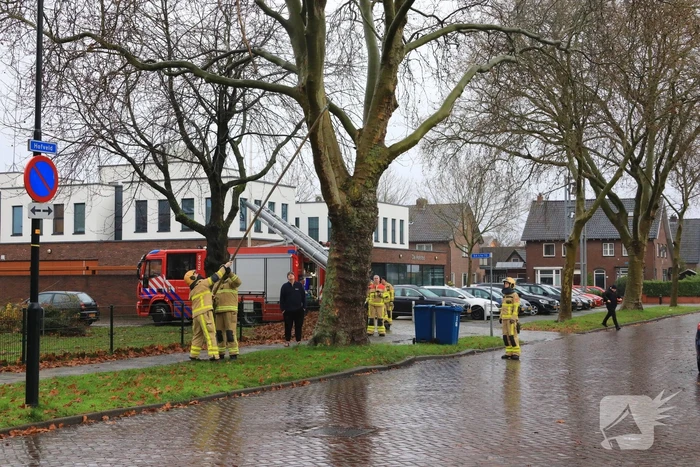 Brandweer haalt gevaarlijk loshangende takken uit boom