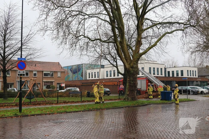 Brandweer haalt gevaarlijk loshangende takken uit boom