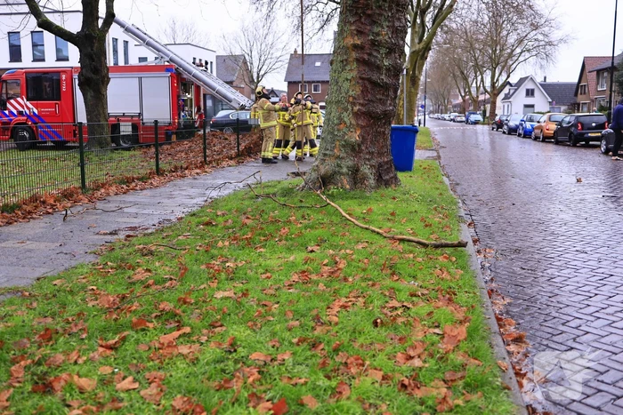 Brandweer haalt gevaarlijk loshangende takken uit boom