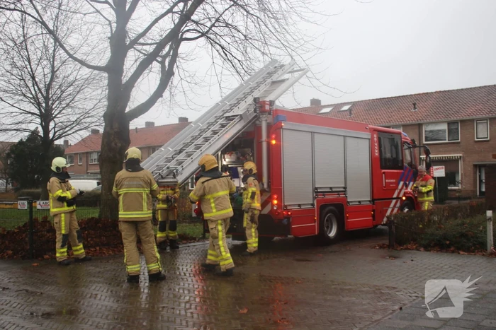 Brandweer haalt gevaarlijk loshangende takken uit boom