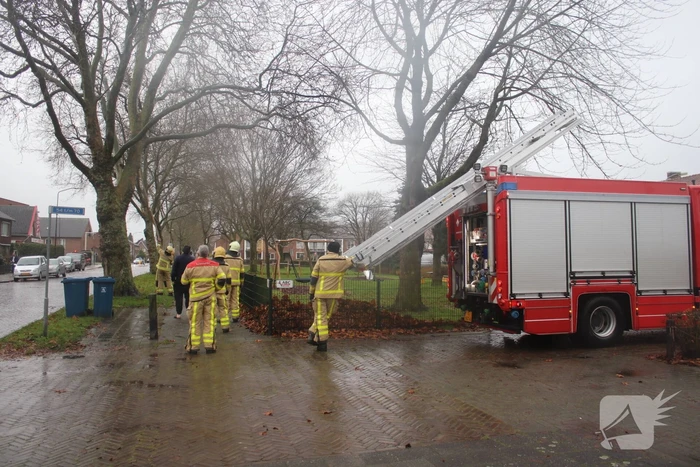 Brandweer haalt gevaarlijk loshangende takken uit boom
