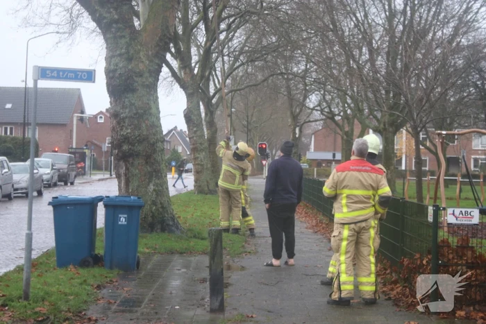 Brandweer haalt gevaarlijk loshangende takken uit boom