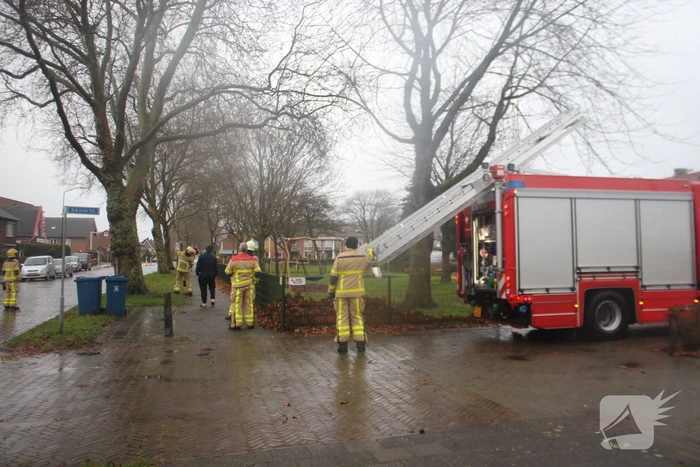 Brandweer haalt gevaarlijk loshangende takken uit boom