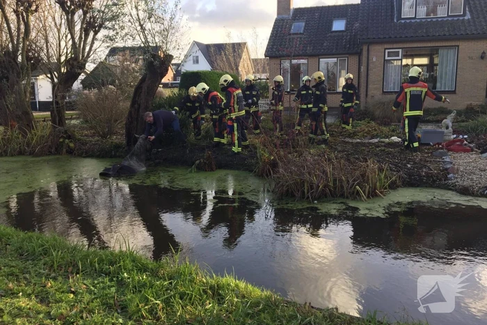 Twee personen en paard te water geraakt