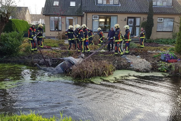Twee personen en paard te water geraakt