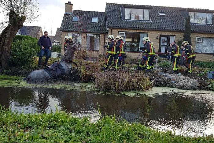 Twee personen en paard te water geraakt