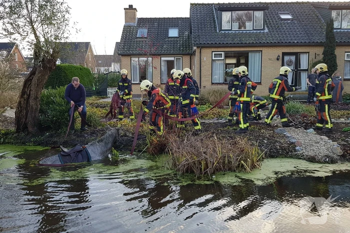 Twee personen en paard te water geraakt