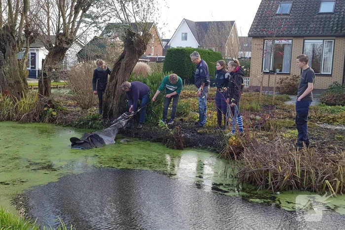 Twee personen en paard te water geraakt