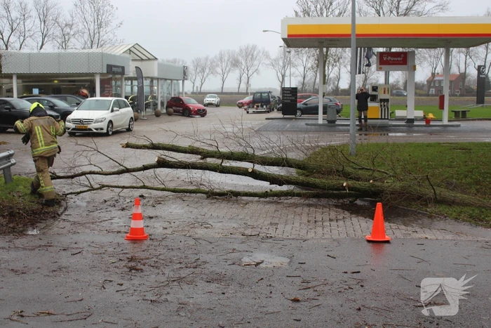 Uitgang Shell-tankstation geblokkeerd door omgewaaide boom