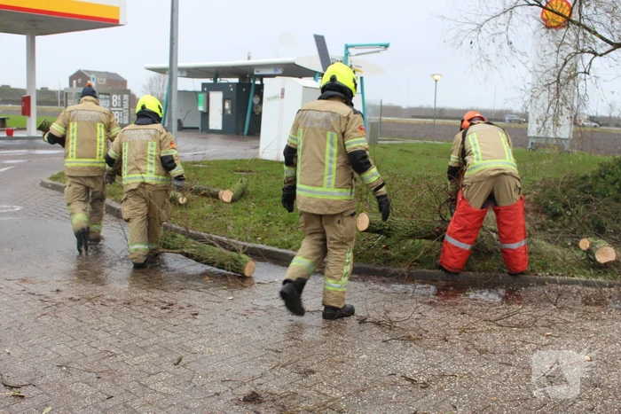 Uitgang Shell-tankstation geblokkeerd door omgewaaide boom