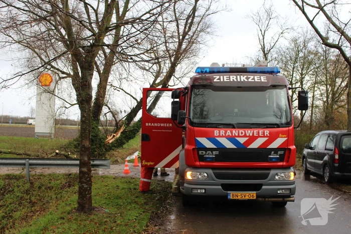 Uitgang Shell-tankstation geblokkeerd door omgewaaide boom