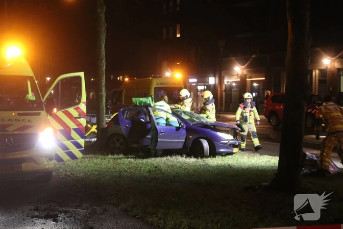 Zwaargewonde na botsing tegen boom