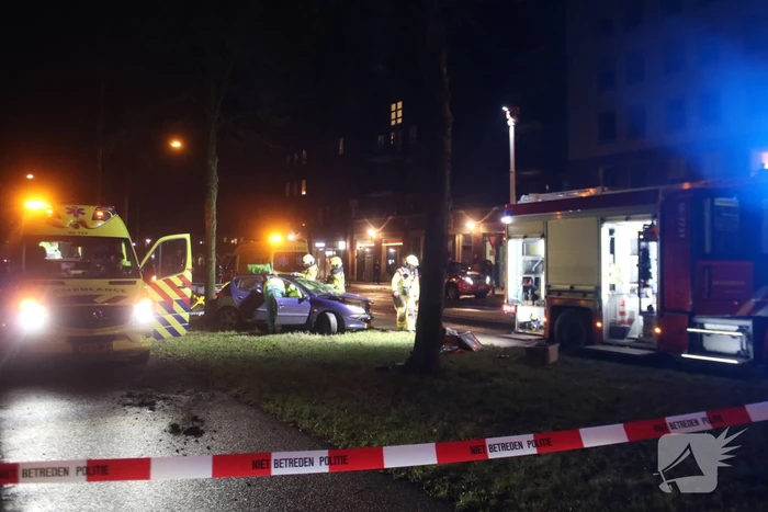 Zwaargewonde na botsing tegen boom