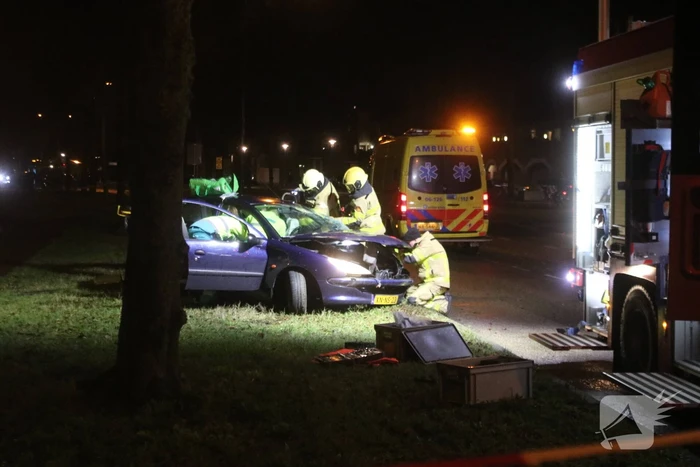 Zwaargewonde na botsing tegen boom