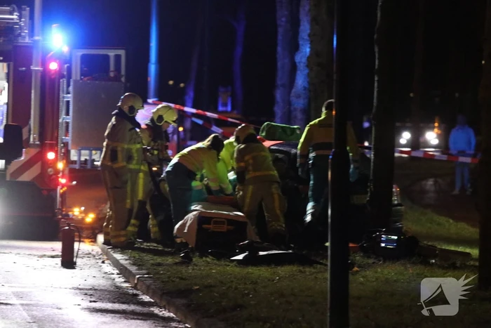 Zwaargewonde na botsing tegen boom