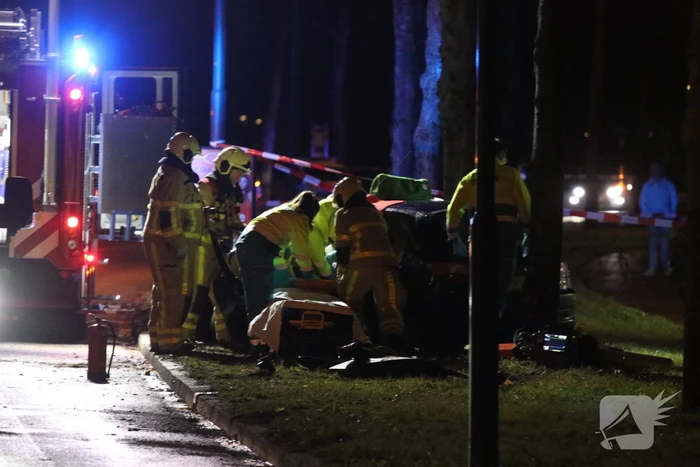 Zwaargewonde na botsing tegen boom