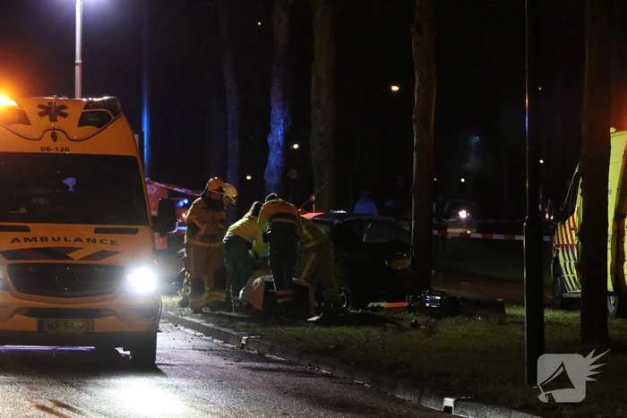 Zwaargewonde na botsing tegen boom