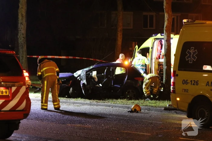 Zwaargewonde na botsing tegen boom