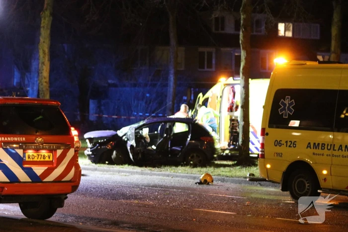 Zwaargewonde na botsing tegen boom