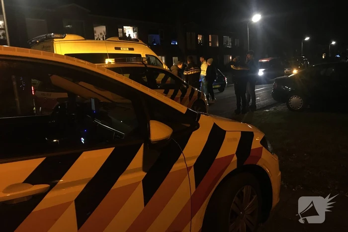 Flinke schade na botsing tegen boom