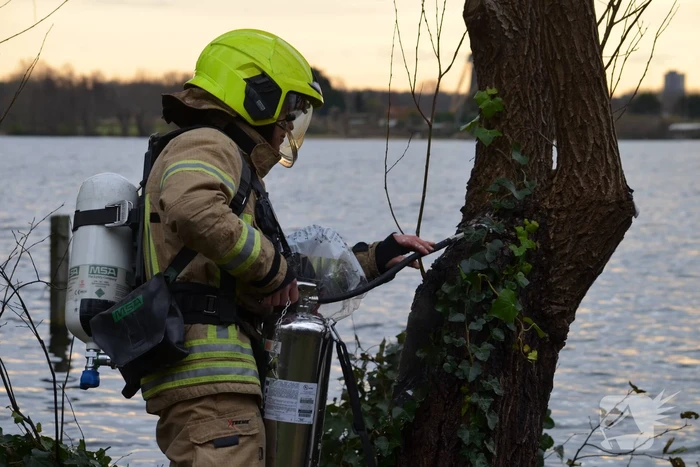 Wilgenboom vliegt in brand Prinses Beatrixplantsoen