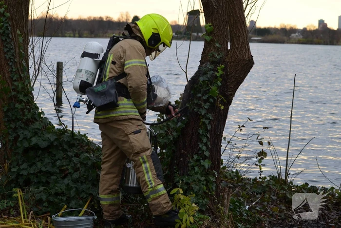 Wilgenboom vliegt in brand Prinses Beatrixplantsoen