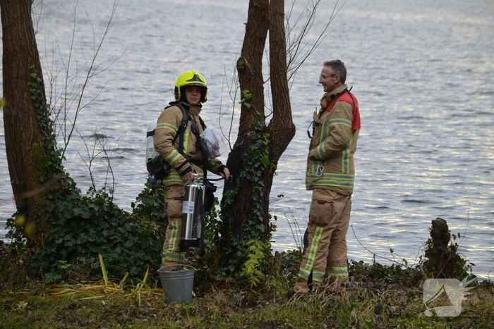 Wilgenboom vliegt in brand Prinses Beatrixplantsoen