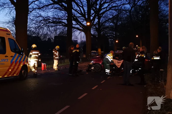 Automobilist gewond na aanrijding tegen boom
