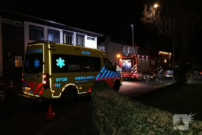 Frietpan vliegt in brand, kinderen doen bluspoging