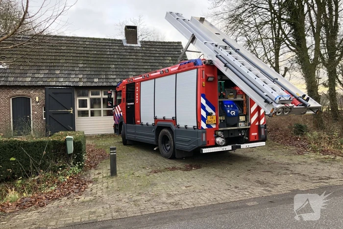 Kat uit boom gered