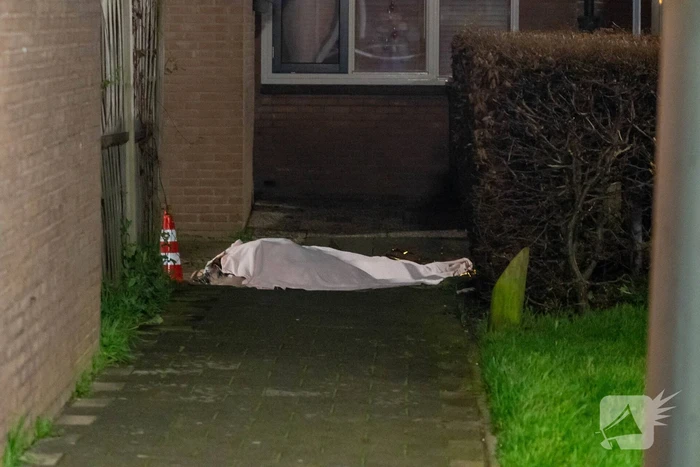 Vechtpartij mondt uit in dodelijke steekpartij