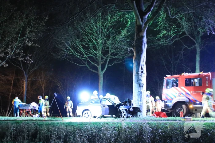 Auto knalt op boom