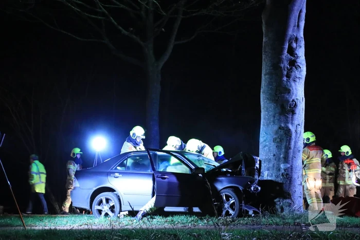 Auto knalt op boom