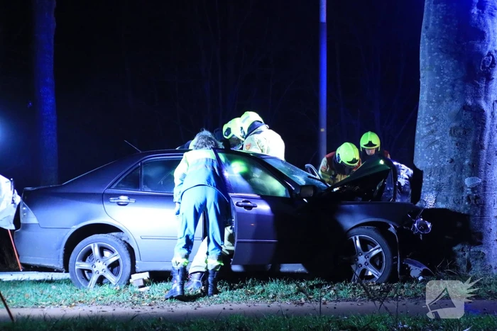 Auto knalt op boom