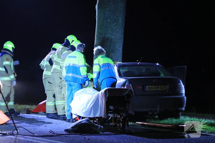 Auto knalt op boom