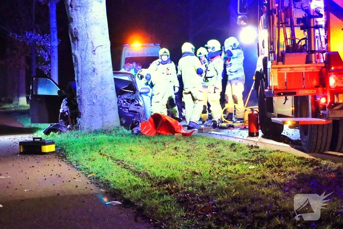 Auto knalt op boom