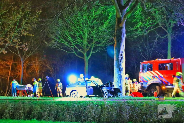 Auto knalt op boom