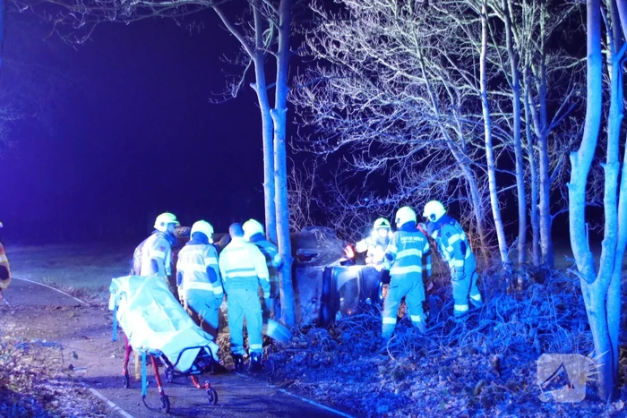 Zwaargewonde na eenzijdige botsing tegen boom