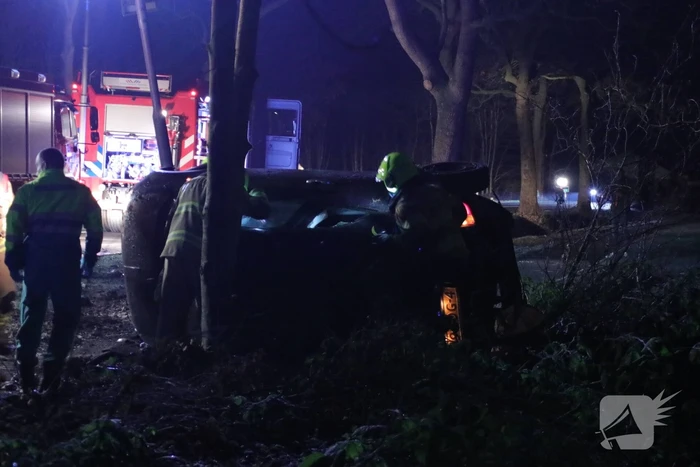 Zwaargewonde na eenzijdige botsing tegen boom