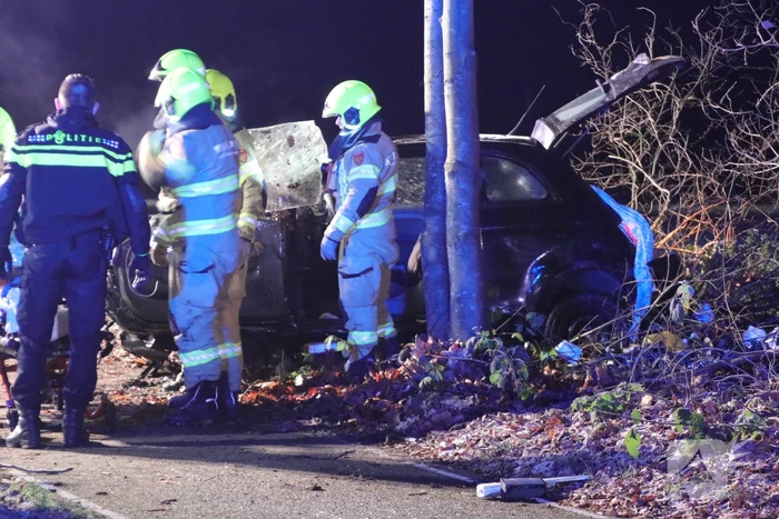 Zwaargewonde na eenzijdige botsing tegen boom