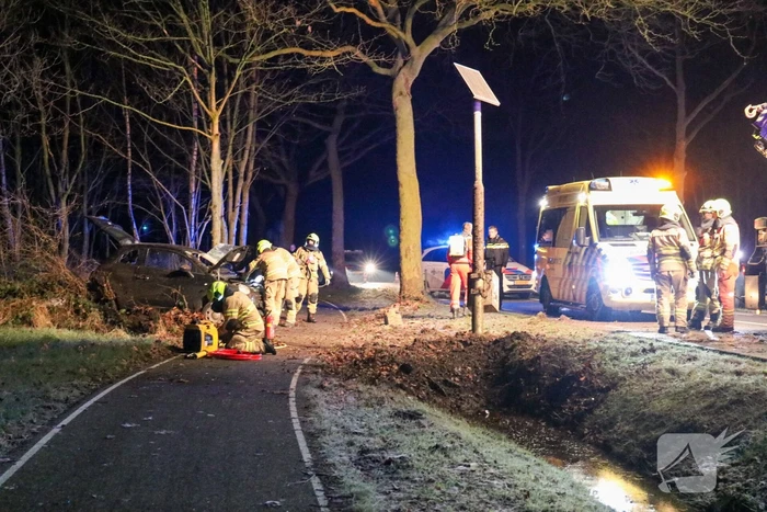 Zwaargewonde na eenzijdige botsing tegen boom