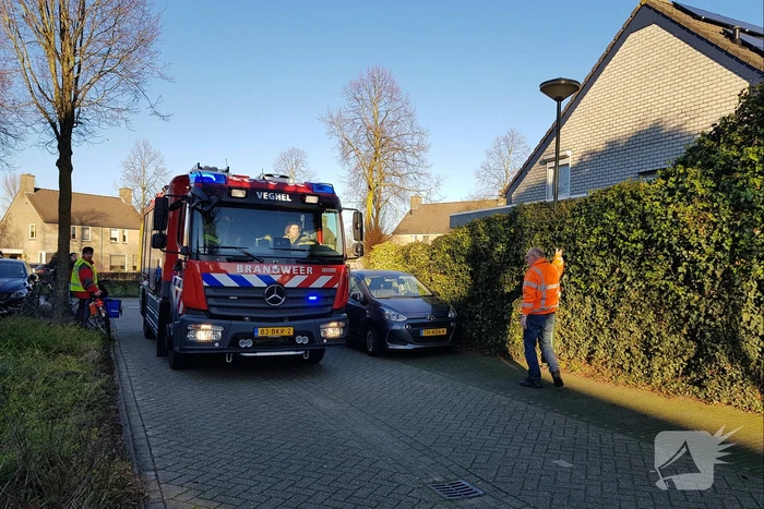 Coniferenhaag vat vlam door vuurwerk