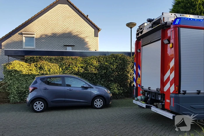 Coniferenhaag vat vlam door vuurwerk