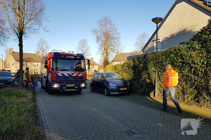 Coniferenhaag vat vlam door vuurwerk